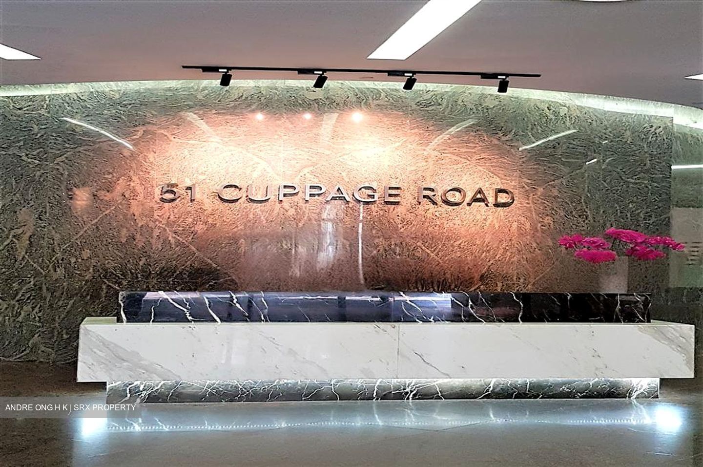 51 Cuppage Road (D9), Office #451247551